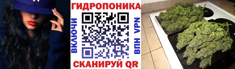 Бошки марихуана семена  как найти закладки  нарко площадка как зайти  Уржум  mega рабочий сайт 